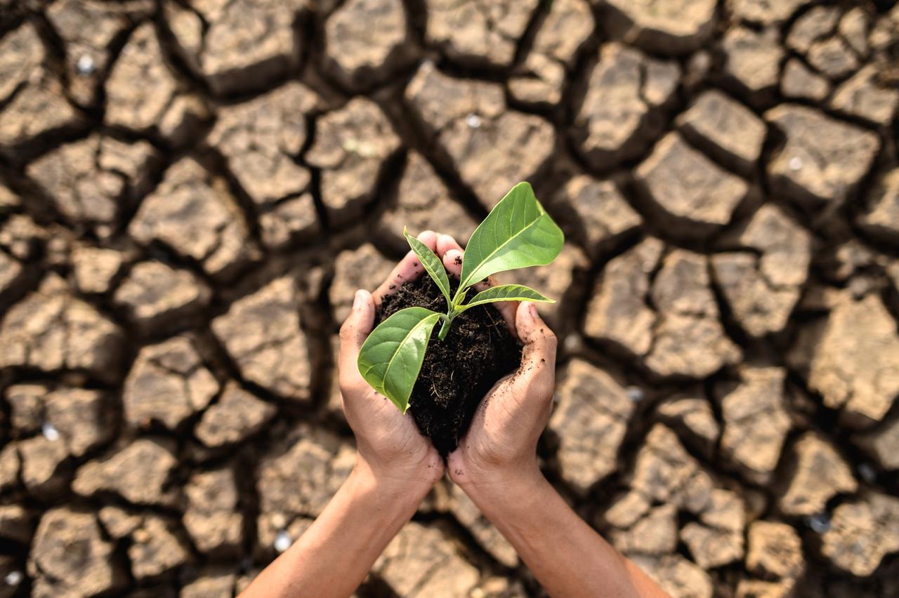 The Importance of Combating Climate Change