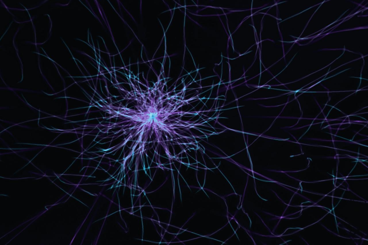 Neuromorphic Hardware
