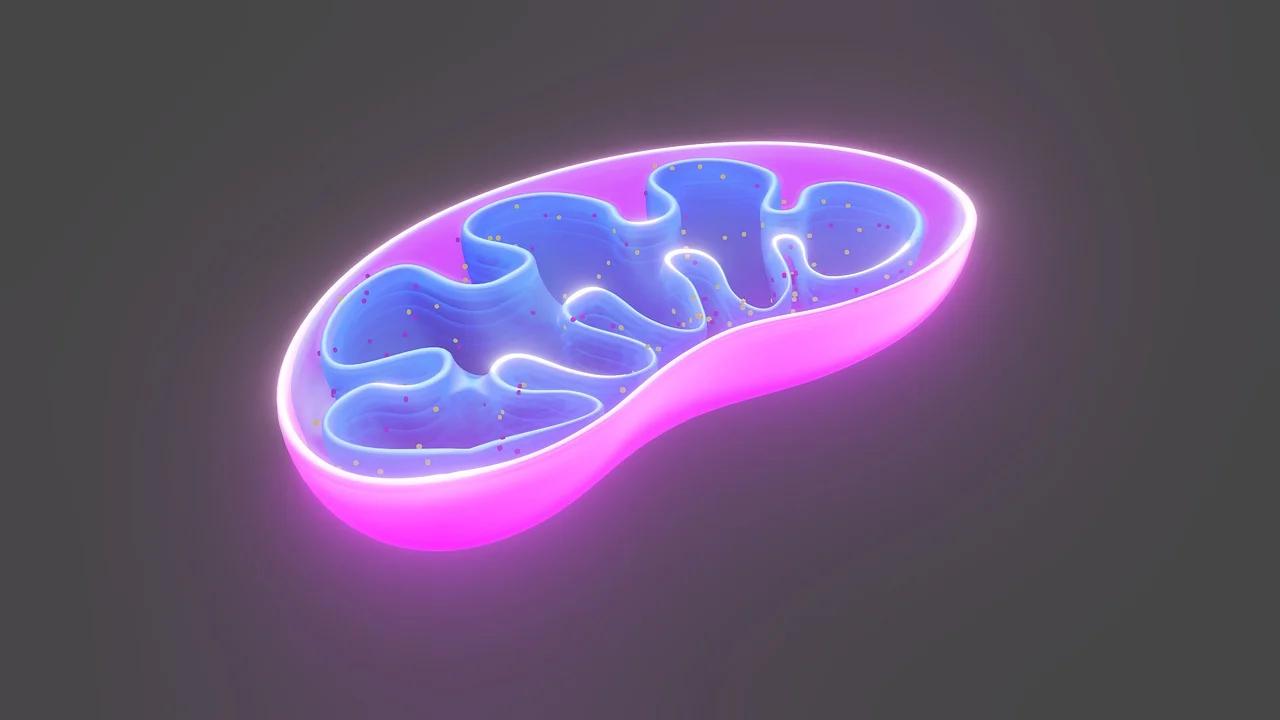 cell-6474673_1280.webp