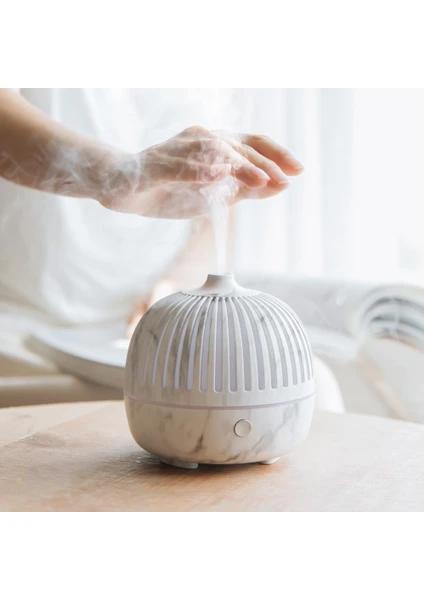 Fragrance Diffuser