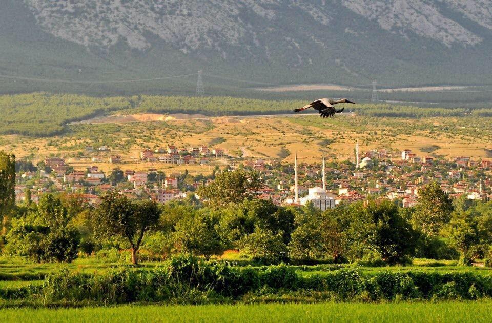 Kargı (District)