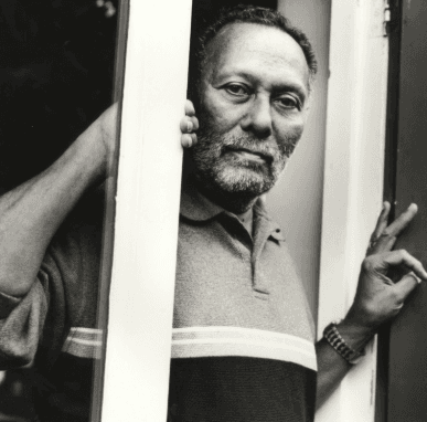 Stuart Hall and the Aesthetic Codes of Popular Culture