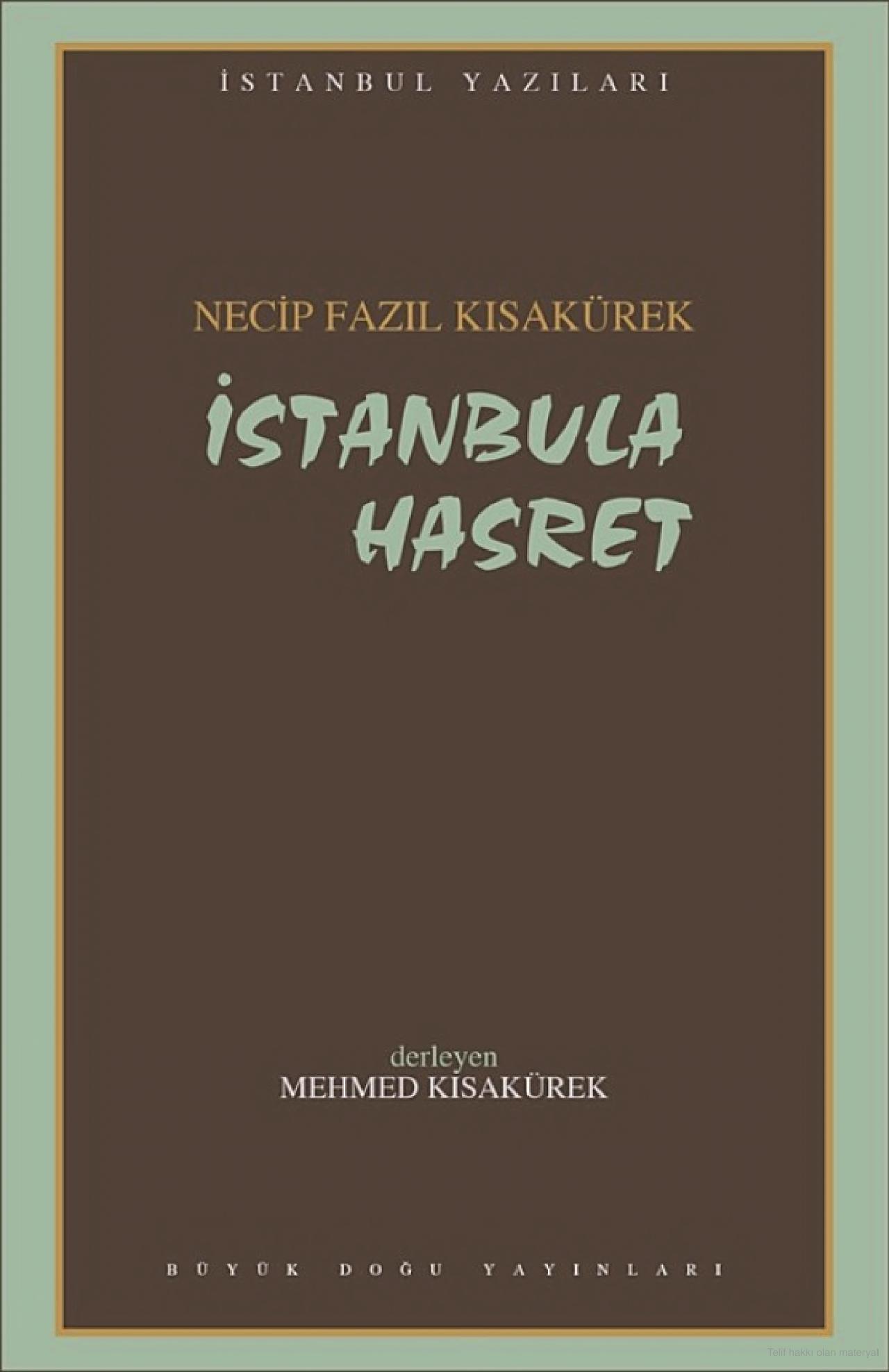 Missing Istanbul (Book)
