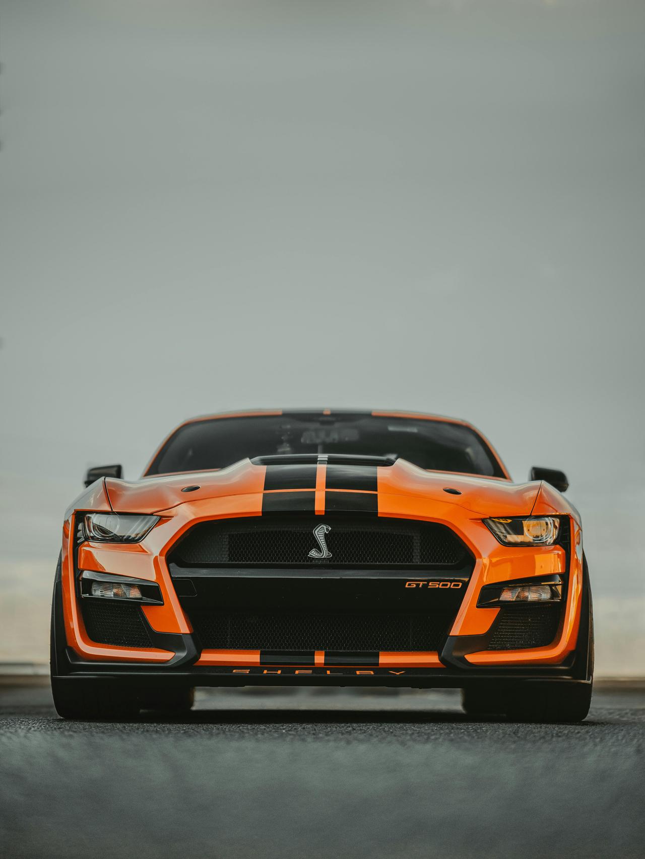 pexels-h3mins-28436895.jpg