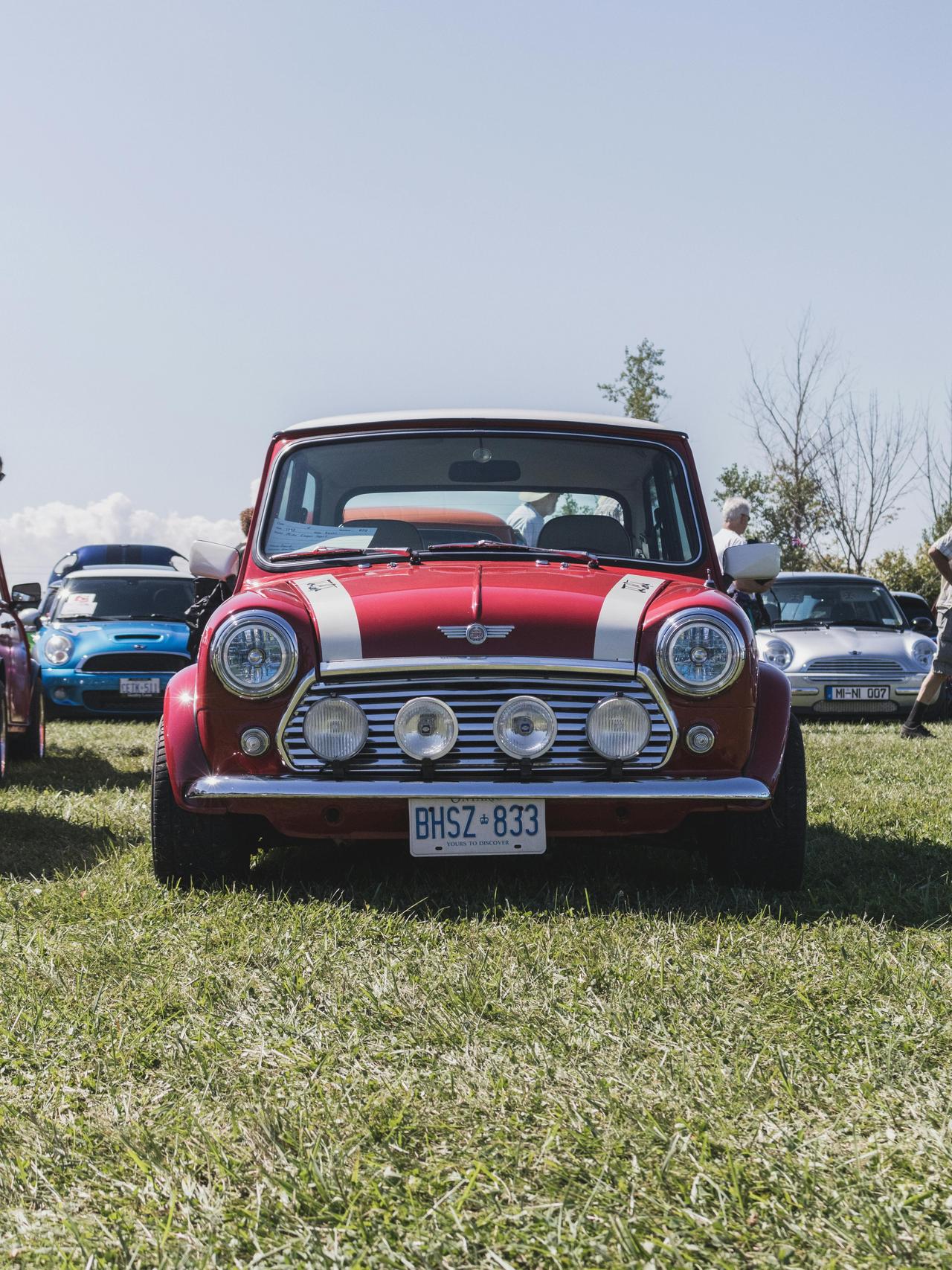 pexels-dave-diangelo-583383-1431234.jpg