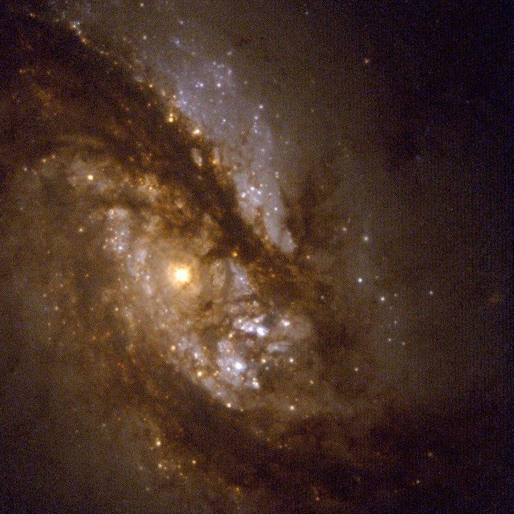 NGC 1365 