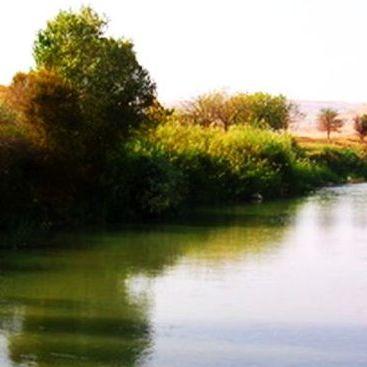 basur-cayi.jpg