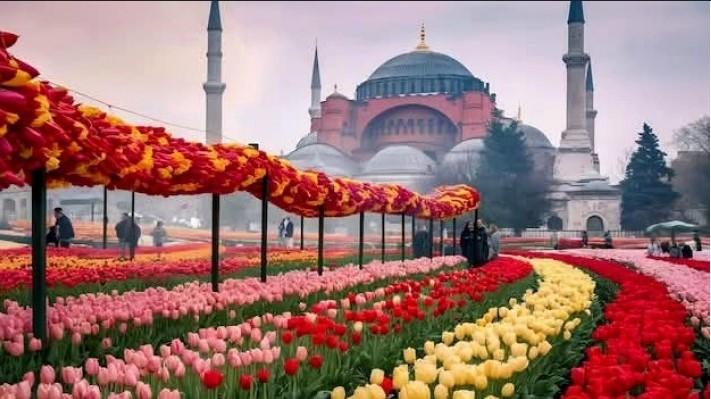 Istanbul Tulip Festival