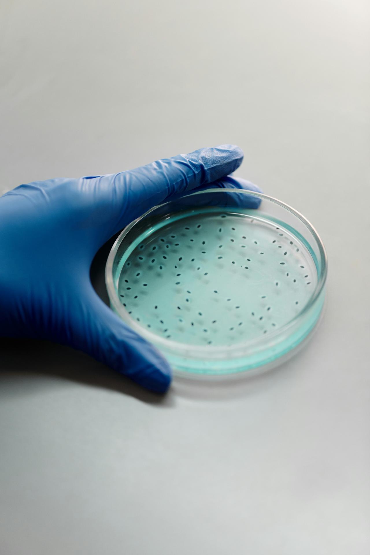 Microorganism