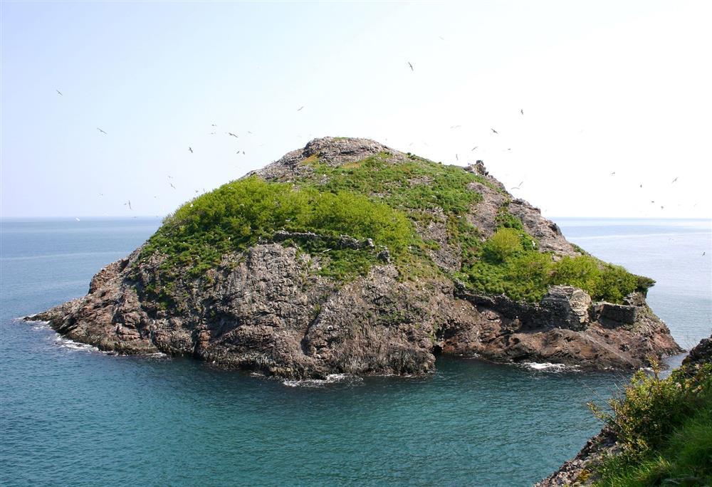 Hoynat Adası