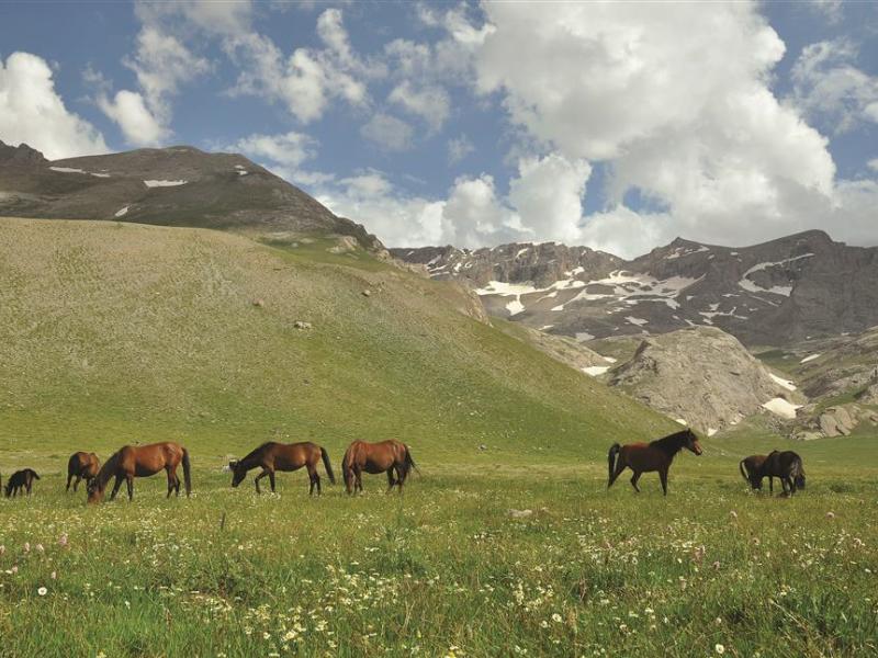 Bolkar Mountains