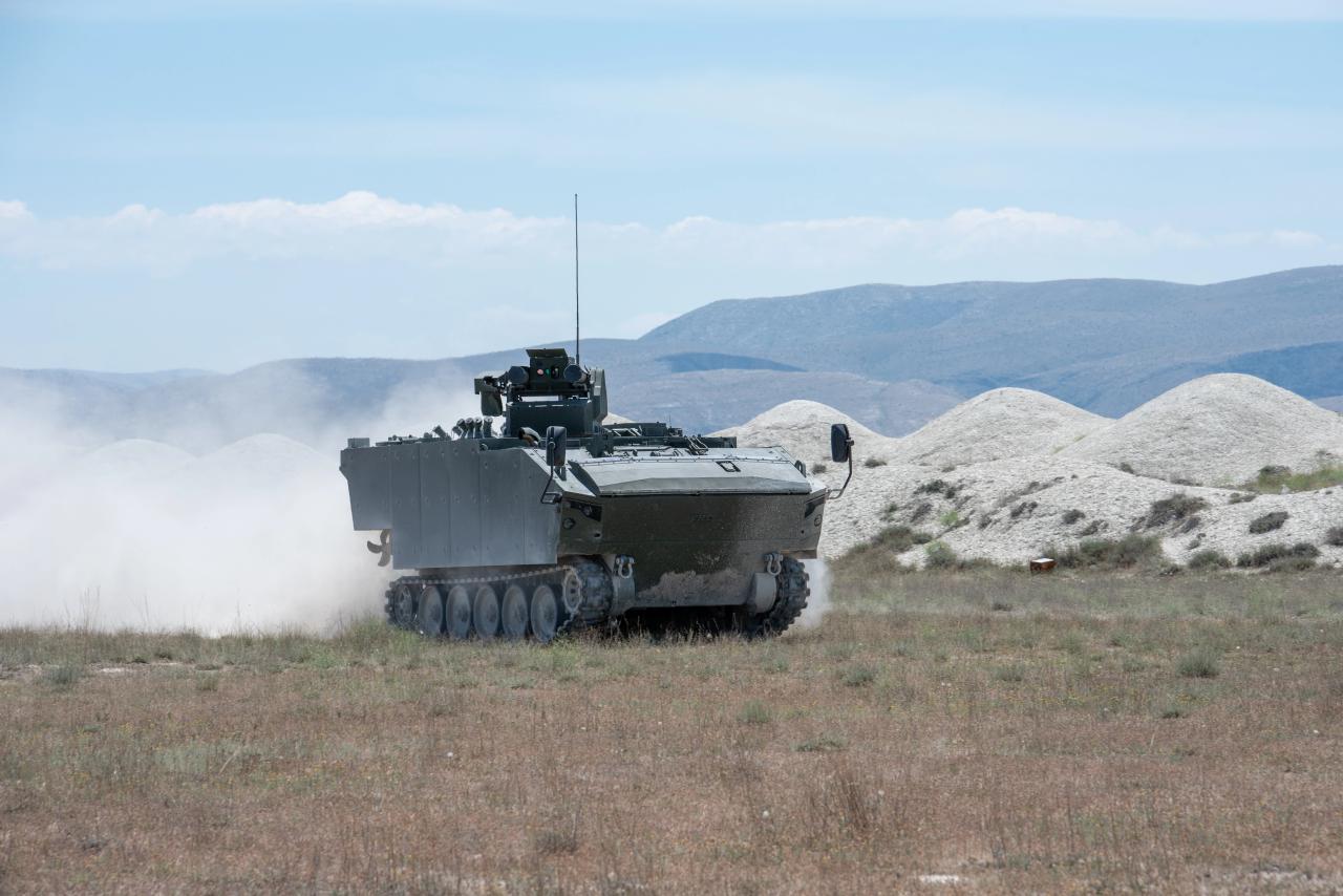 Lion STA (Armored Combat Vehicle)