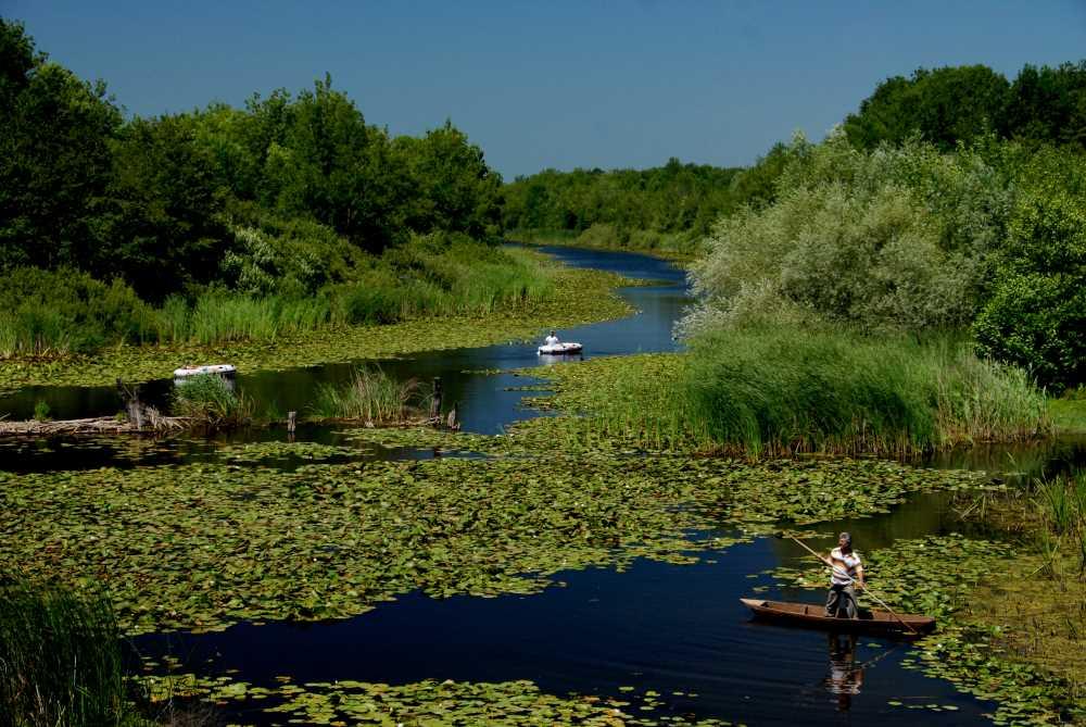 Acarlar Marsh