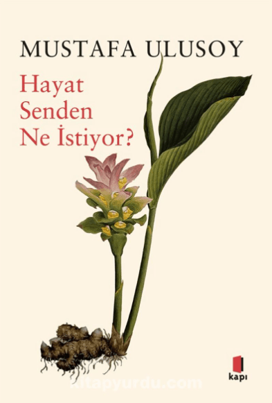 What Does Life Want From You? (Book)