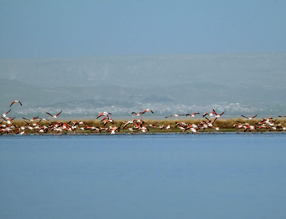 Sultan Sazlığı