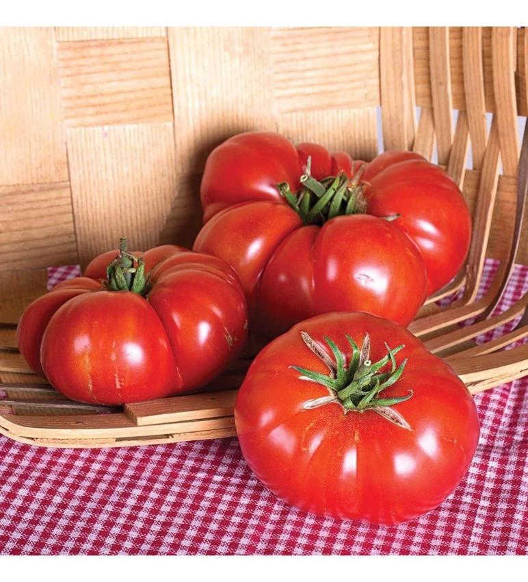 tohhum-ankara-ayas-domates-tohumu-kcm82561889-1-d8f2de41cd914a3ba879fcf57174b077_1702389644.webp
