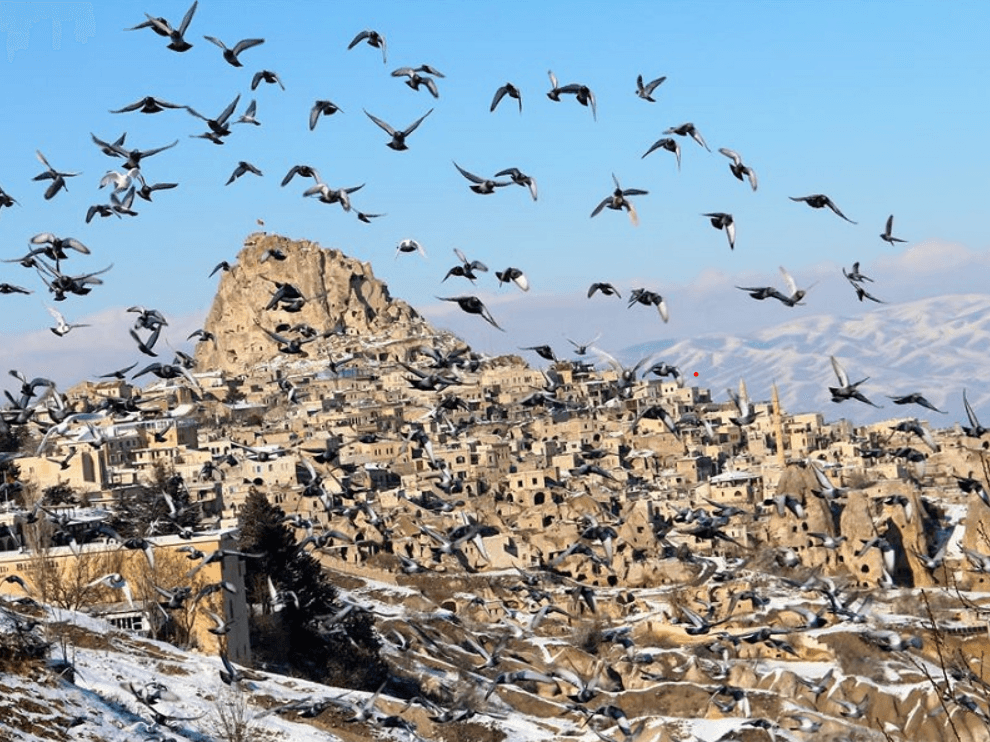Pigeon Valley