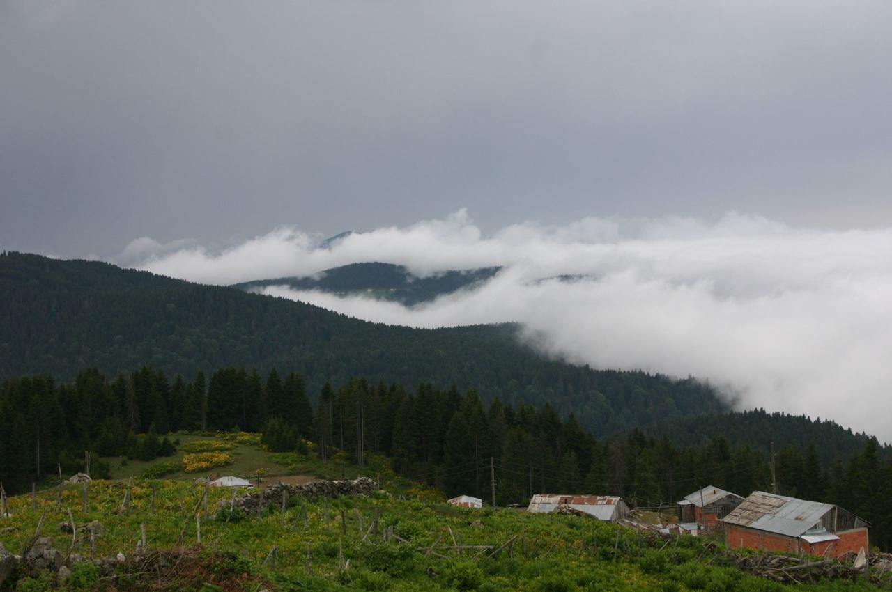 Paşakonağı Yaylası.jpg