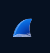 Wireshark 