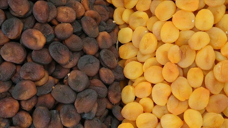 Malatya Apricot