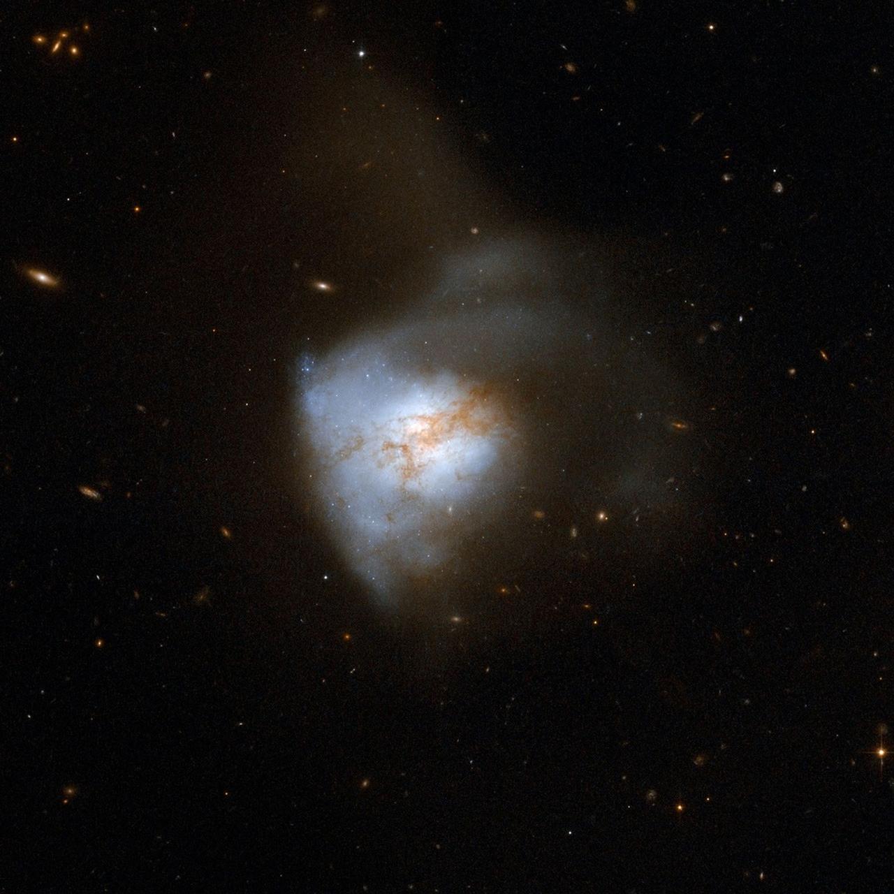 ARP 220
