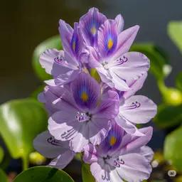 zQVSDv9BENGIFG7rGcwmpsrbzttDt5XF.webp