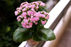 1000005012.jpg