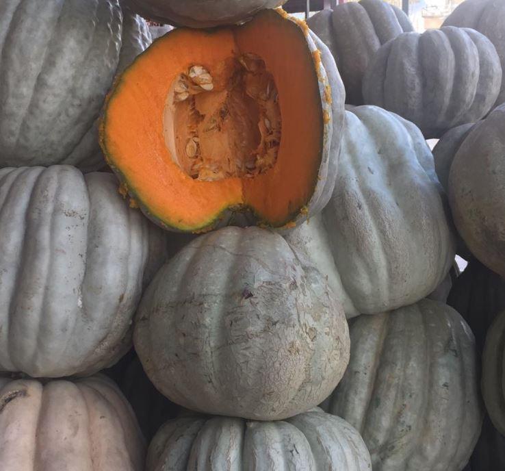 Adapazarı White Chestnut Squash
