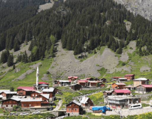 Elevit Plateau