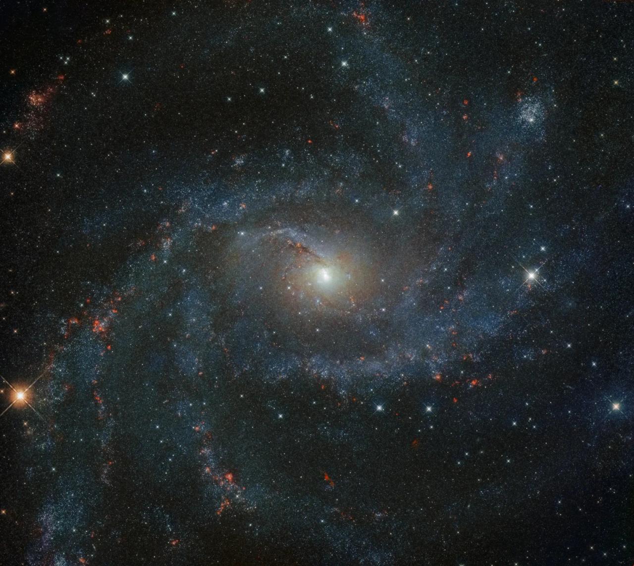 potw2101a-jpg.webp