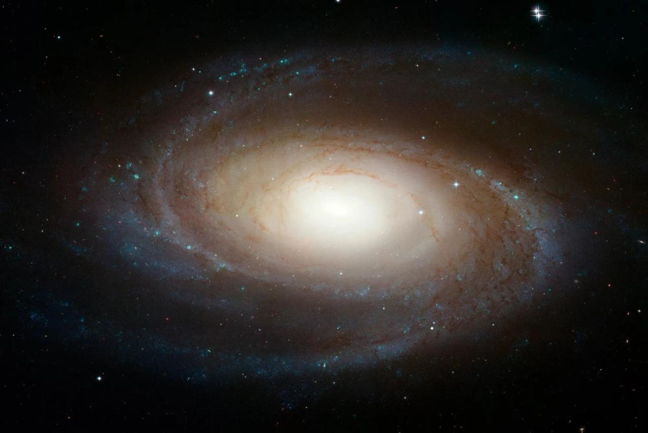 m81-print-jpg.webp