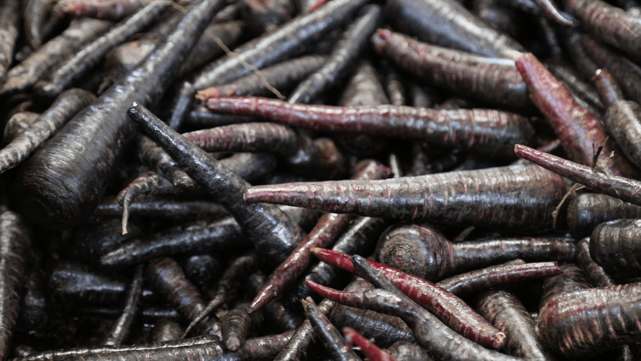 Ereğli Black Carrot