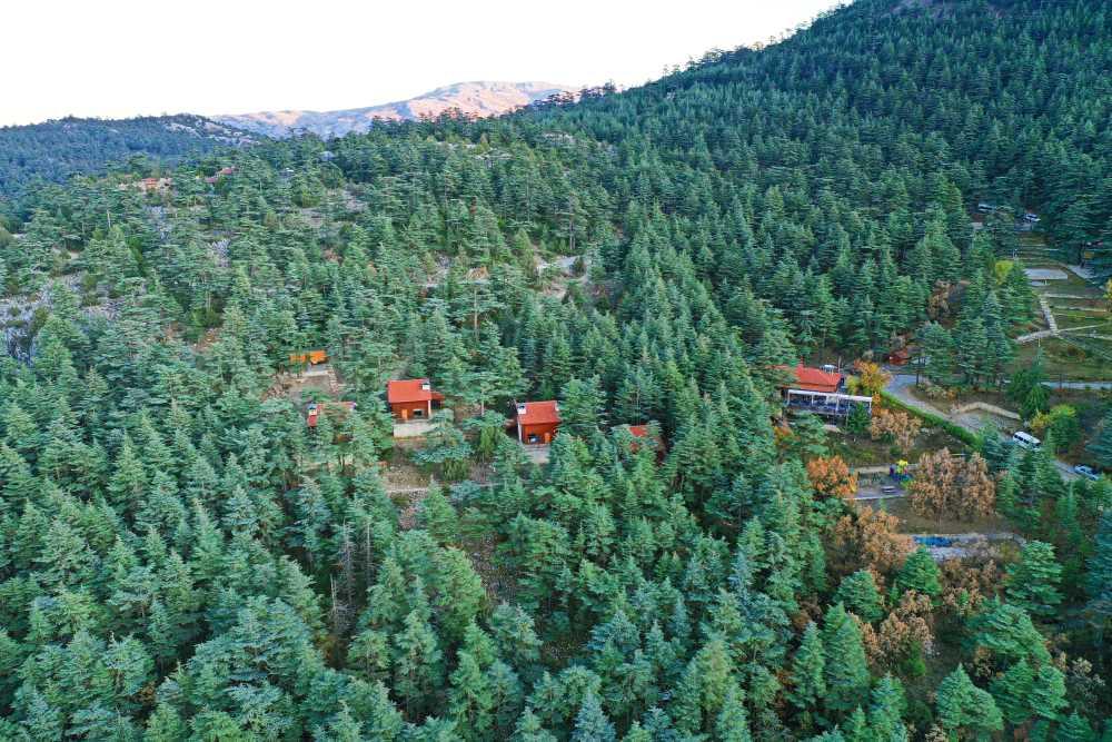 Kızıldağ National Park