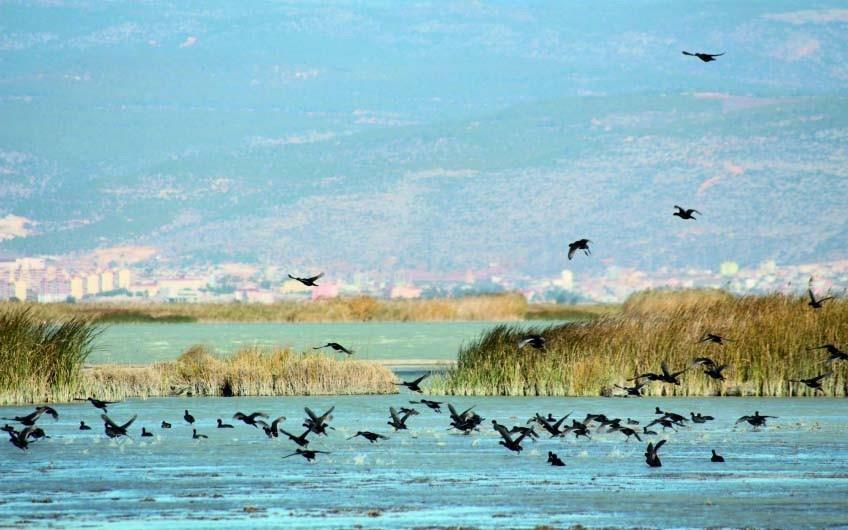 Göksu Delta