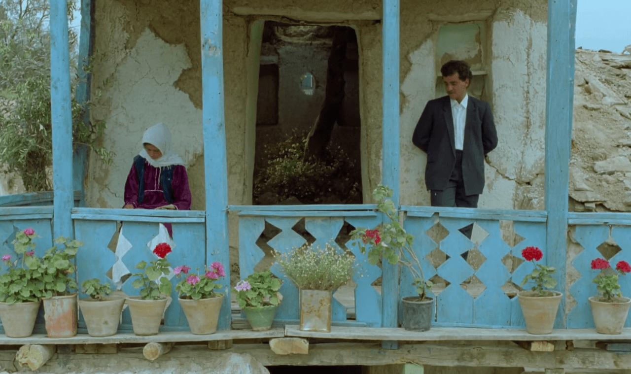 Zeytin Ağaçları Altında (Film)