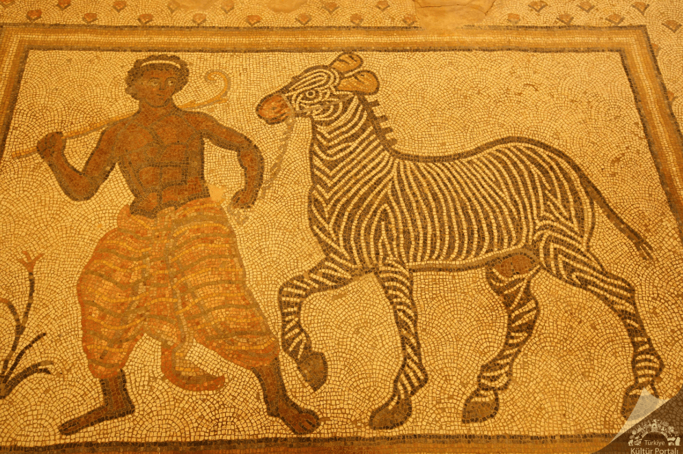 Haleplibahçe Mosaic Museum