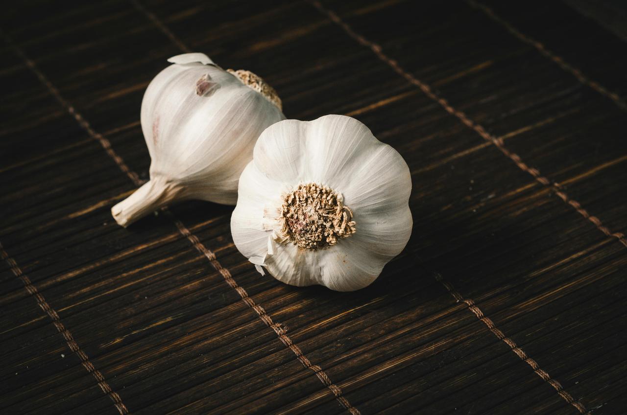 Garlic (Allium sativum)