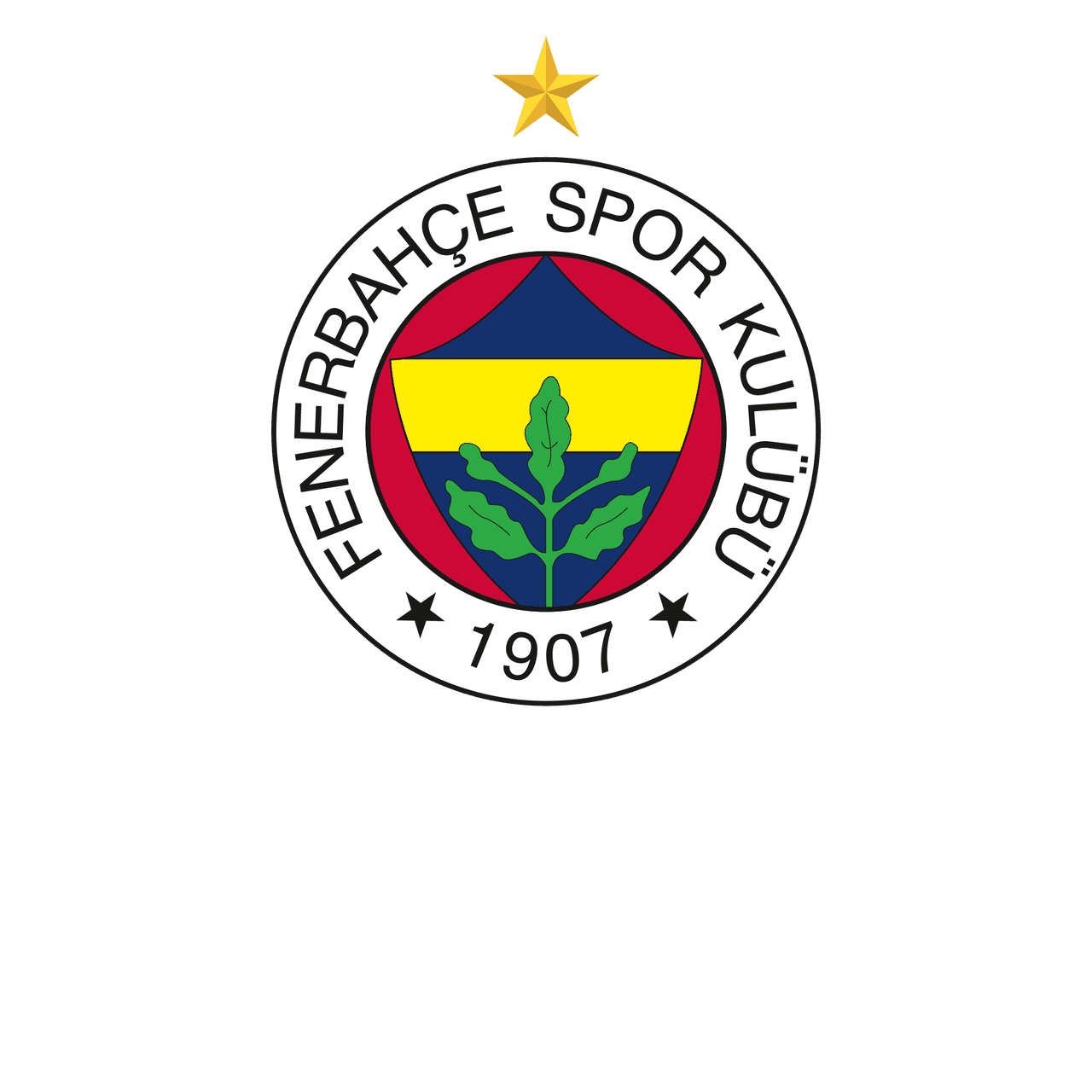 Fenerbahçe Beko İstanbul
