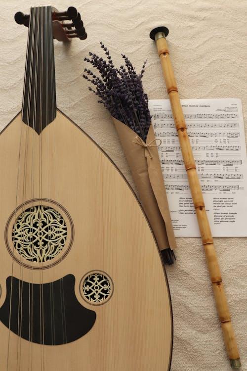 Makam Müziğinin İyileştirici Gücü