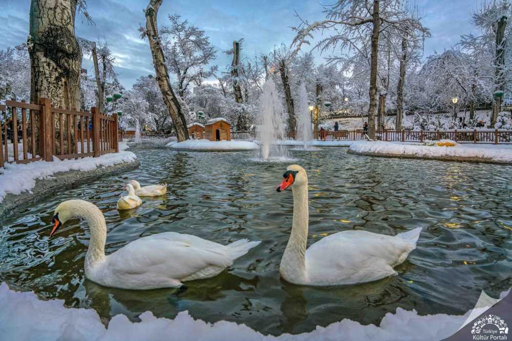 Kuğulu Park