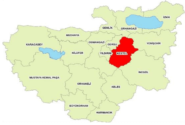 Ekran görüntüsü 2025-06-23 011618.png