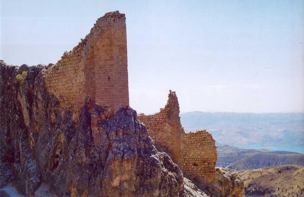 e71c4707-fddd-407f-b57d-a1d38f25dfeb.jpg
