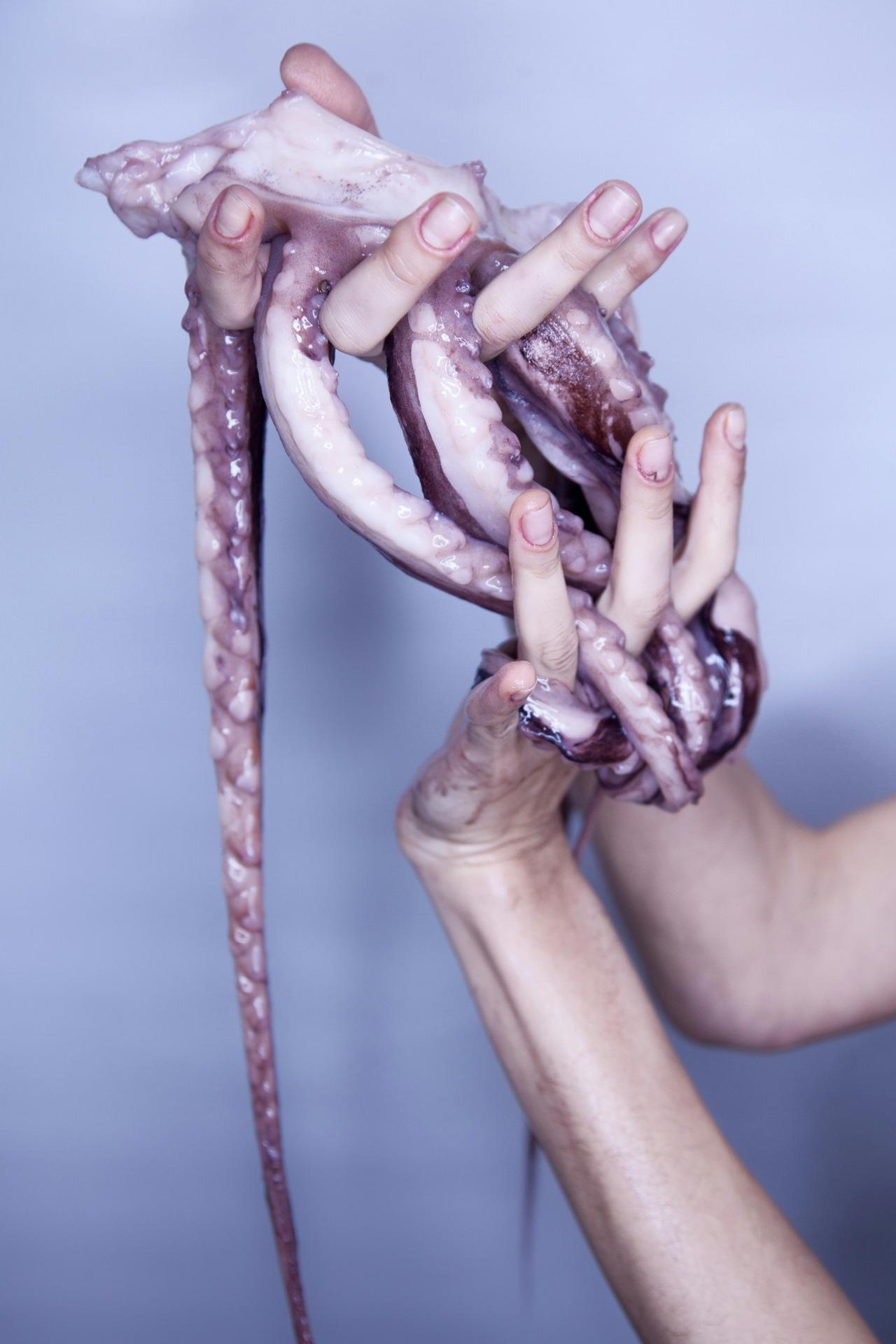 Mimic Octopus (Thaumoctopus mimicus)