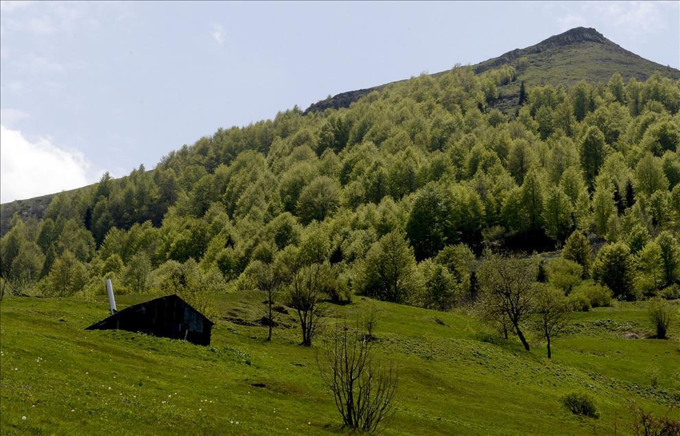 grthyşpiğü.jpg