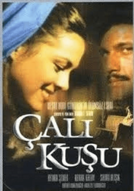 Chalıkuşu (Series, 1986)