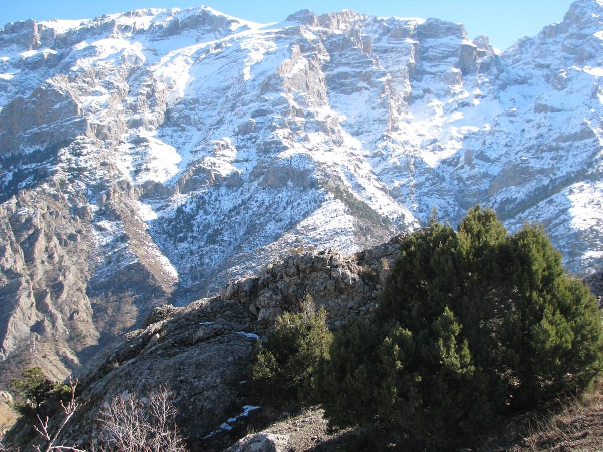 Bolkar Mountains
