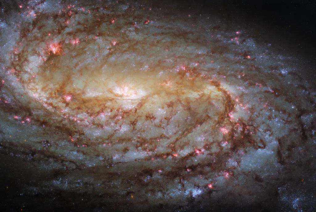 NGC 2903 Galaxy