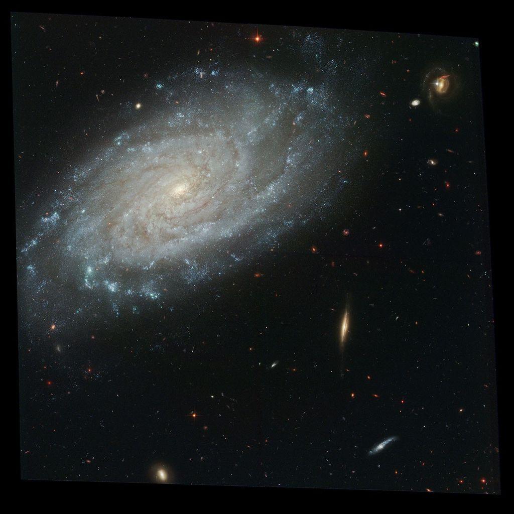 NGC 3370 Galaxy