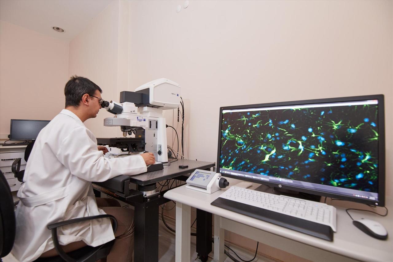 Confocal Microscope
