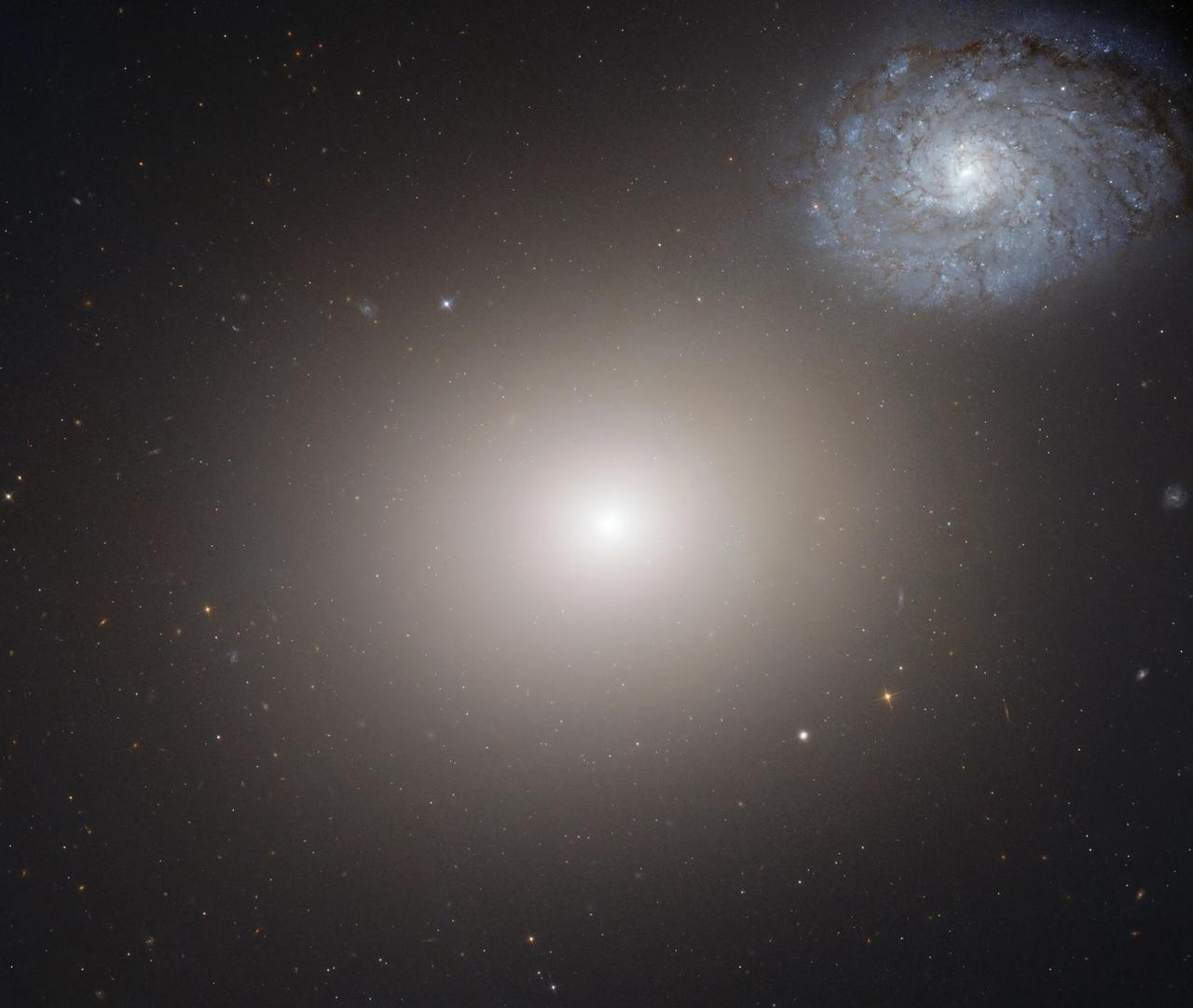 Messier 60 Galaxy